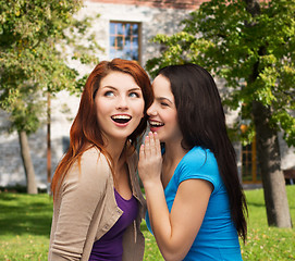 Image showing two smiling girls whispering gossip