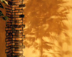 Image showing Wall With Tree Shadow