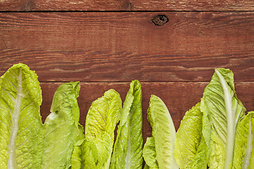Image showing fresh romaine lettuce