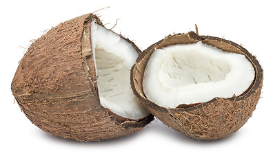 Image showing Coconut