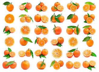 Image showing Mandarins