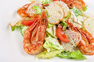 Image showing Tasty shrimp salad