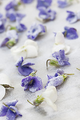 Image showing Candied violets