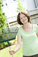 Image showing Senior woman holding rake