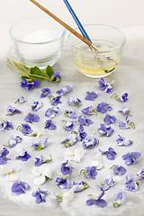 Image showing Making candied violets