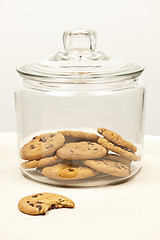 Image showing Chocolate chip cookies in jar