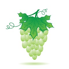 Image showing green grapes