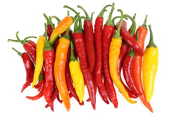 Image showing Peppers