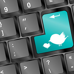 Image showing Button keyboard key, keypad with bird family closeup