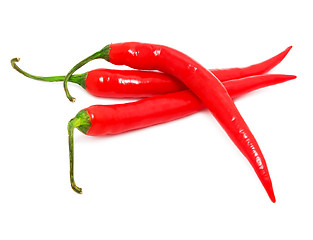 Image showing Hot chili pepper