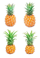 Image showing Pineapple