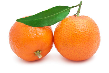 Image showing Tangerines