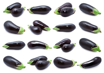 Image showing Aubergine