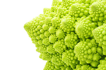 Image showing Romanesco broccoli