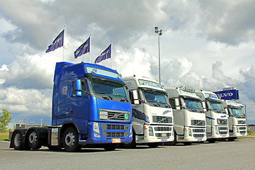 Image showing Five Volvo Truck Tractors