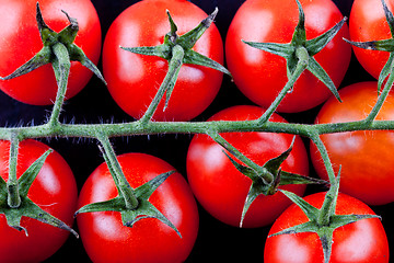 Image showing branch of cherry tomatoes