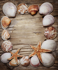 Image showing Seashell Frame