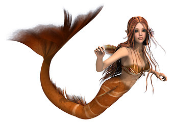 Image showing Golden Mermaid