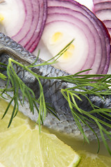 Image showing Fillet herring with onion and lemon