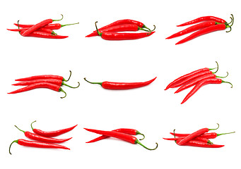 Image showing Chili peppers