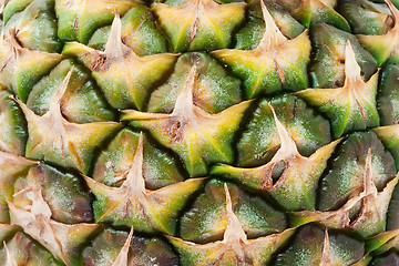 Image showing Pineapple