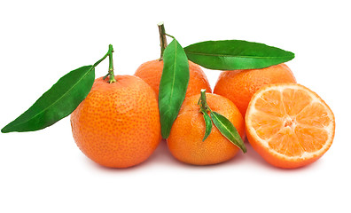 Image showing Tangerines