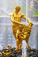 Image showing Peterhof