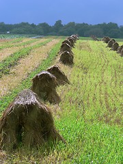 Image showing Haystack 3