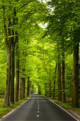 Image showing Beautiful road