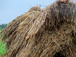 Image showing Haystacks 1