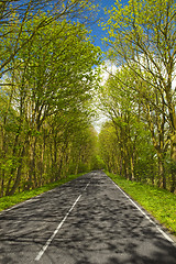 Image showing Beautiful road