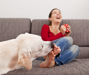 Image showing Dog licking the toes