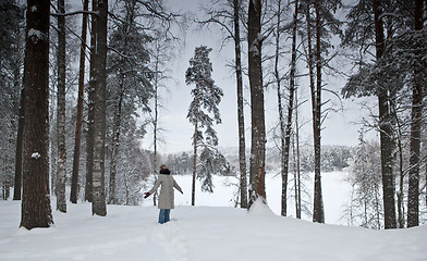 Image showing Enjoying the winter