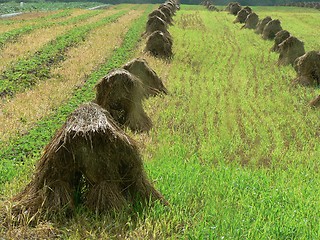 Image showing Haystacks 2