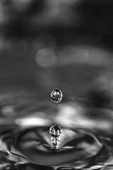 Image showing Water drops rebound