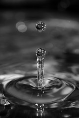 Image showing Water droplets rebounding