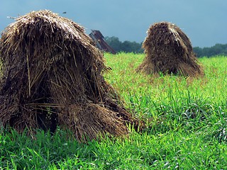 Image showing Haystacks 4