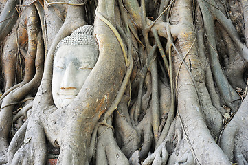 Image showing Budda head