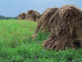 Image showing Haystacks 5