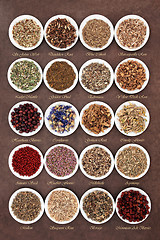 Image showing Medicinal and Magical Herbs