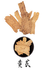Image showing Astragalus Root