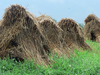 Image showing Haystacks 6