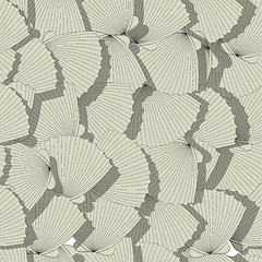 Image showing Sea shells pattern