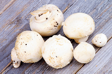 Image showing White Champignon Mushrooms