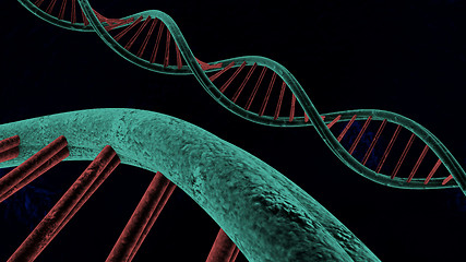 Image showing chain of deoxyribonucleic acid 