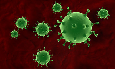 Image showing influenza virus