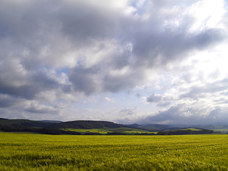 Image showing agrarian landscape
