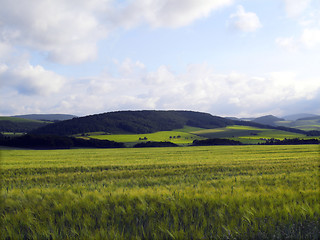 Image showing agrarian landscape