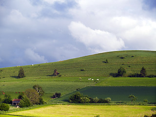 Image showing agrarian landscape