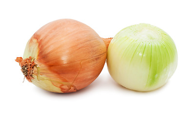 Image showing Onion